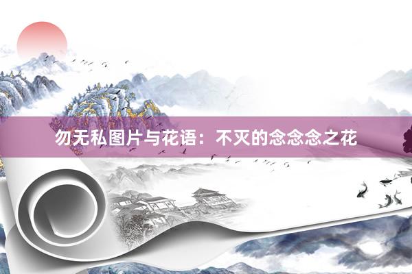 勿无私图片与花语：不灭的念念念之花